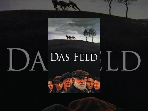 Das Feld