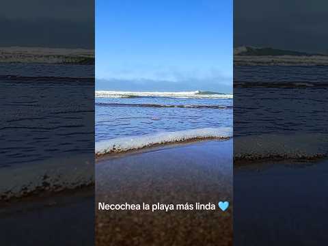 Necochea la playa más linda! 🩵 #playa #necochea #vacaciones #familia #amigos