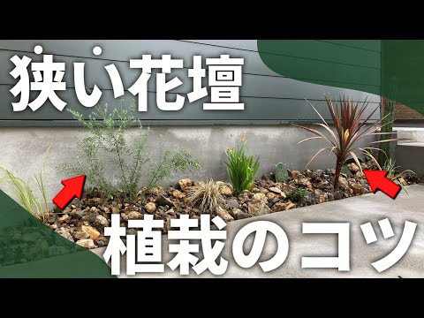 日当たりの良い花壇を設計するためのヒント トピックス