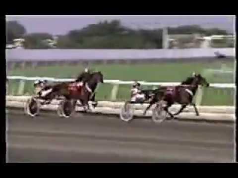 1993 Meadowlands AMERICAN WINNER Hambletonian Final Ron Pierce