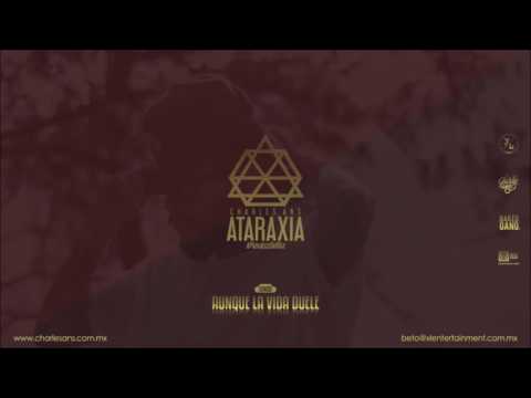 05.- AUNQUE LA VIDA DUELE / CHARLES ANS