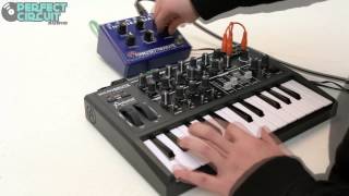 Video thumbnail for Frostwave Resonator vs  Microbrute by Perfect Circuit