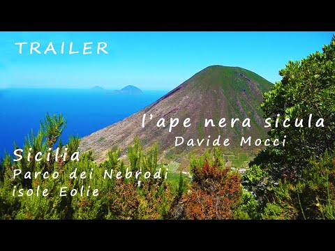 TRAILER - APE NERA SICULA di Davide Mocci doc RAI GEO