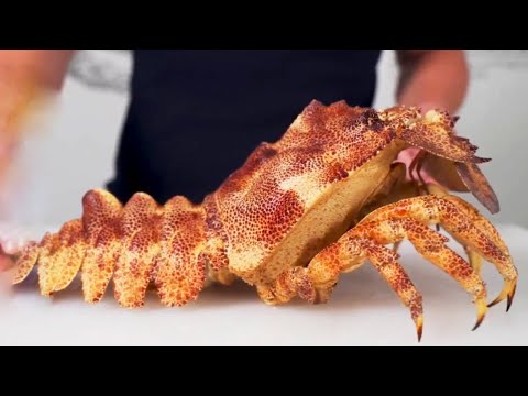 A 430 yuan/jin deep-sea tank sashimi hits the spot! Its sweetness reaches your head!