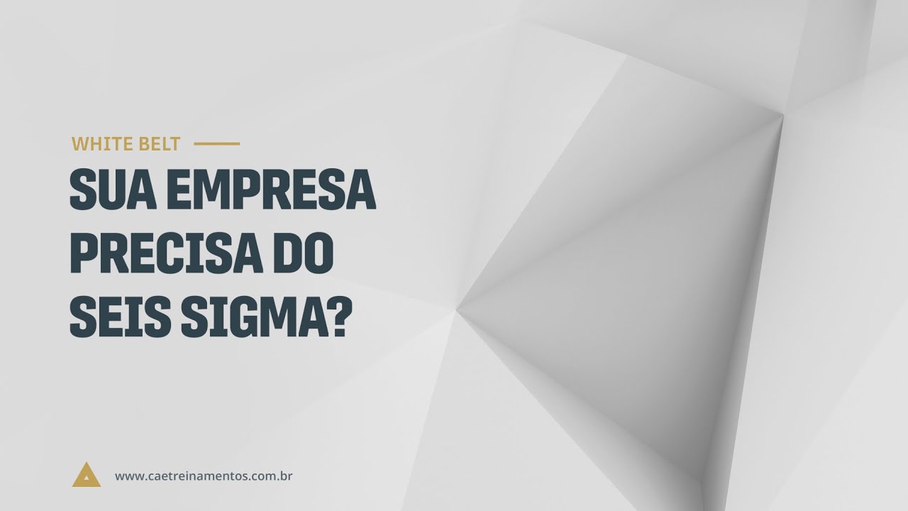 [Novo Curso White Belt] Aula 04 - Sua empresa precisa do Seis Sigma?