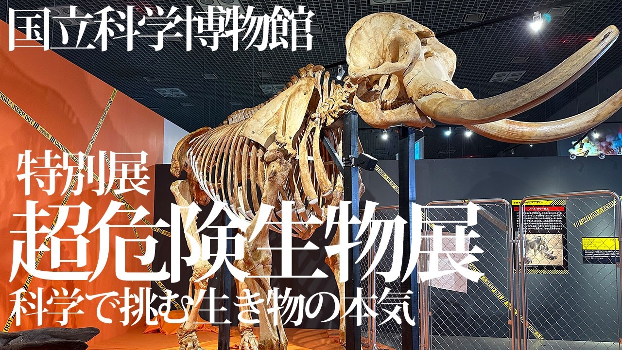 国立科学博物館特別展「超危険生物展　科学で挑む生き物の本気」