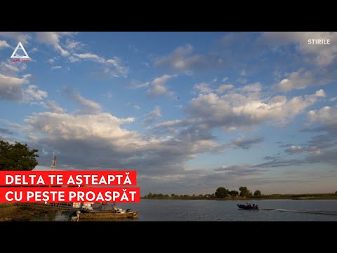 Vacanţă în Delta Dunării. Cât costă un sejur şi care sunt principalele atracţii