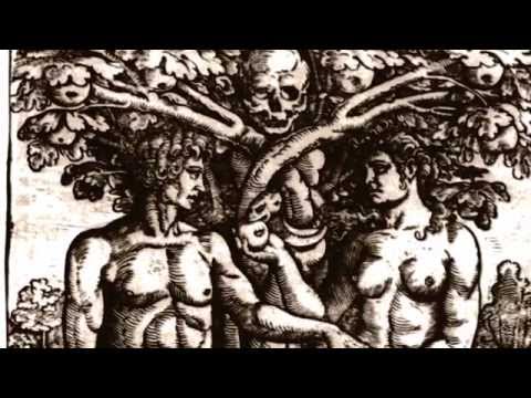 Tausend Löwen unter Feinden - Babel