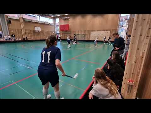 Högalids IF - Älvsjö AIK IBF