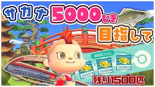 【あつ森】100匹連続釣り上げろ！5000匹を目指してひたすら釣りまくるっ🎣The雑談【あつまれどうぶつの森】