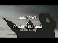 Maine Royaan X Log Khete Hain Pagal Slowed Reverb Lofi Song Lofi 747