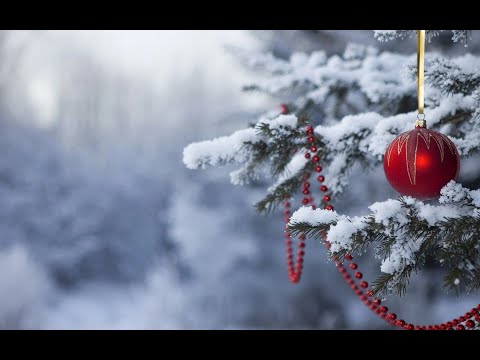 CLAUDIA SABAU  -  Oh Holy Night