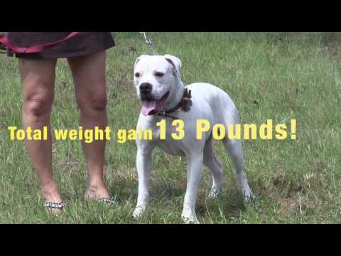 dezzy's second chance