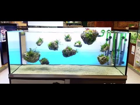 Awesome Aquarium Floating Stone