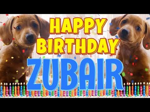 Happy Birthday Zubair! ( Funny Talking Dogs ) What Is Free On My Birthday