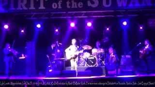 Lyle Lovett - Magnoliafest - Live Oak, Fl  10- 18- 2014