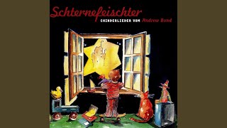 Schternbilder-Jagd Playback