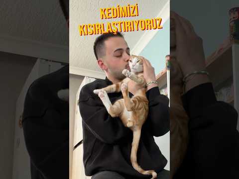 kedimizi kısırlaştırıyoruz