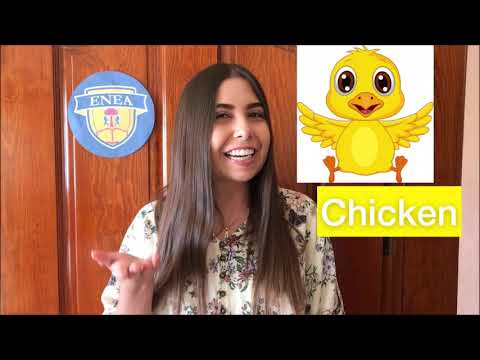 Let's learn vocabulary: Farm Animals