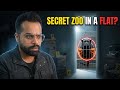 Ahmedabad Exotic Pet Mafia PETPEDIAA