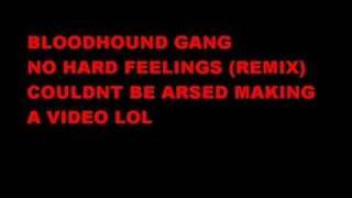 Bloodhound Gang No hard Feelings Remix