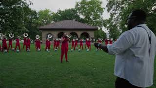 Mandarins 2023 - Dragon Brass | Brand New