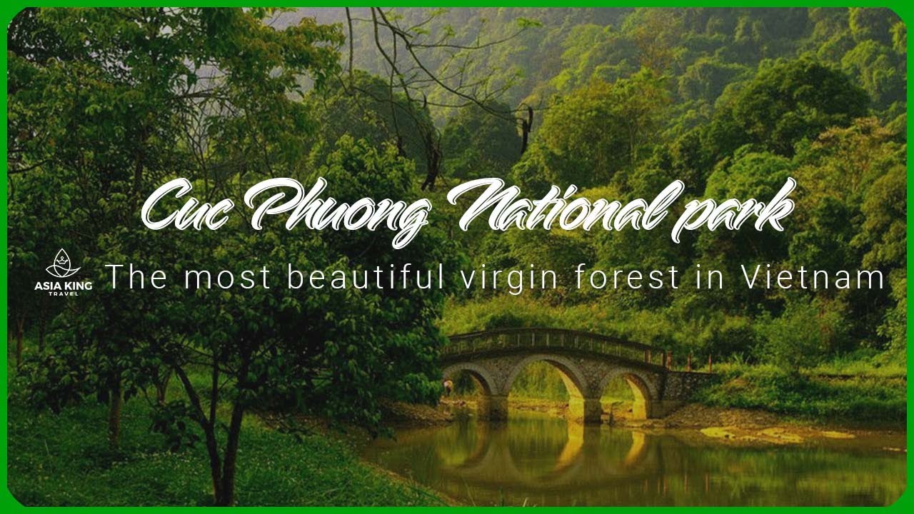 Cuc Phuong National Park