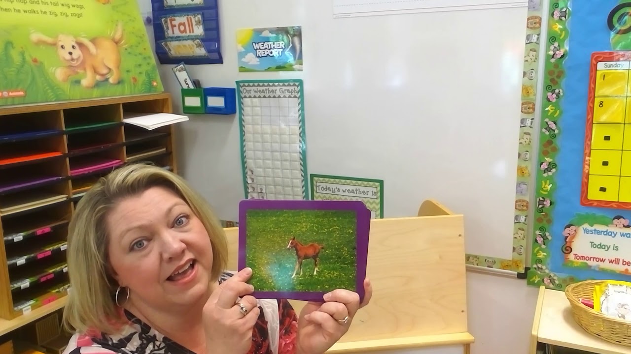 Flashcards of Farm Animals