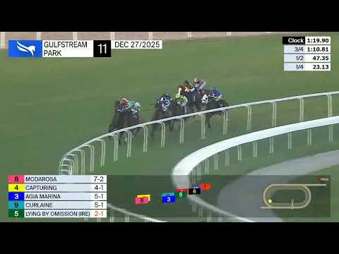 Gulfstream Park December 27, 2025 Race 11