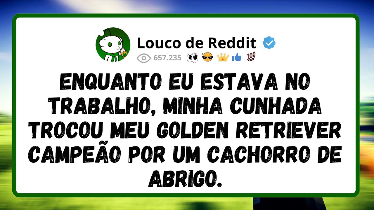 Enquanto Eu Estava No Trabalho, Minha Cunhada Trocou Meu Golden Retriever Campeão Por Um Cachorro