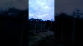 JUGANDO JUGANDO CANCIÓN DE JOAN SEBASTIAN canta CIJU acústico