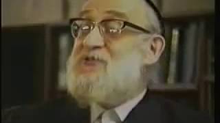 ראיון עם רבי ירחמיאל ישראל יצחק דאמב זיע״א, משנת ה'תשמ״ט