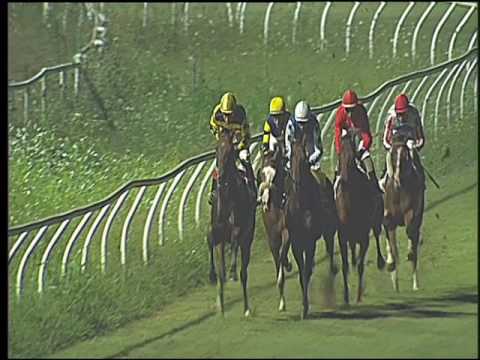 Galoppo 13/08/2016 - 2° corsa