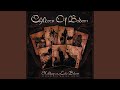 Living Dead Beat Edit