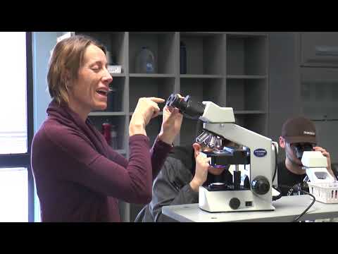 YouTube video about: When viewing a specimen through a light microscope scientists use?