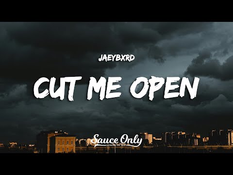 JaeyBxrd - cut me open (Lyrics)