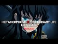 Metamorphosis X My Ordinary Life Guitar Cover The Living Tombstone Interworld Edit Audio