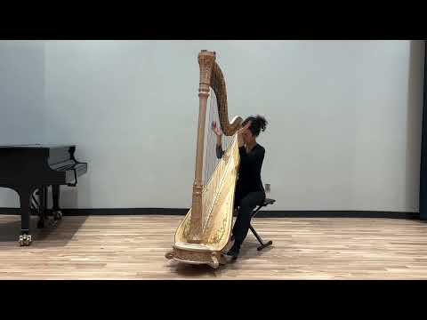 Variations on a Theme by Paganini  - Mikhail Mchedelov | Emily Mina