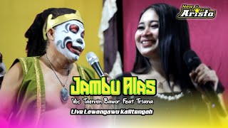 Download lagu Jambu Alas - Triana Ft. Bawor - New Arista Music - Banjarnegara - Live ๐ด Lawangawu - Kalitengah mp3 Download lagu Jambu Alas - Triana Ft. Bawor - New Arista Music - Banjarnegara - Live ๐ด Lawangawu - Kalitengah mp3