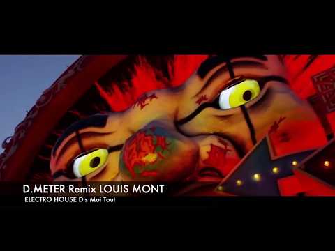 ELECTRO HOUSE 2017 D-METER VS Louis Mont Dis Moi Tout