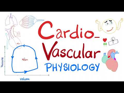 Cardiovascular Physiology - Pressure-Volume loops, Cardiac Cycle, ESV, EDV, SV, CO, Starling Law