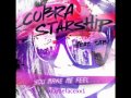 Cobra Starship- Don't blame the world. It's the dj