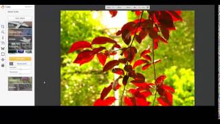 picmonkey- עיצוב תמונות בחינם