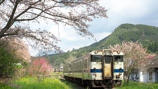 preview picture of video '春爛漫の日田彦山線宝珠山駅'