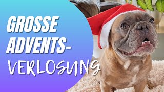 Unsere große Advents-Verlosung - Jetzt am Gewinnspiel teilnehmen!