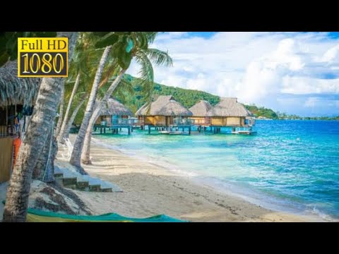 Softest Beach Sounds from the Tropics - Ocean Wave Sounds for Sleeping, Yoga, Meditation, Study