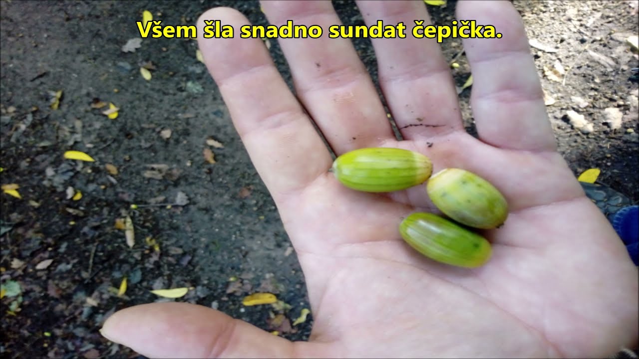 https://www.youtube.com/embed/Ej_jzKlqz-0