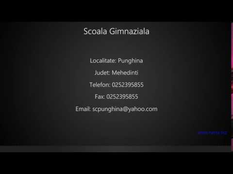 Scoala Gimnaziala Punghina