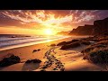 Endless Sun Music Video
