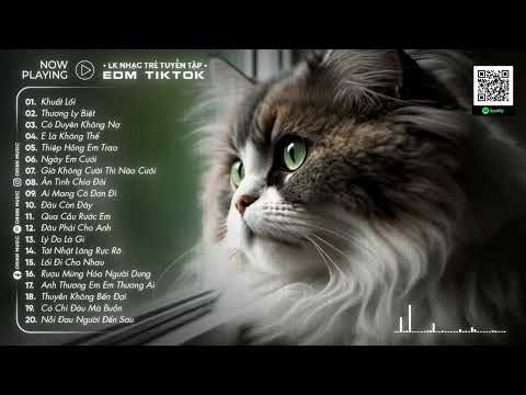 Hôm Nay Mưa Phủ Bay Remix - Khuất Lối, Thương Ly Biệt, Có Duyên Không Nợ - EDM TikTok Remix Hay 2024